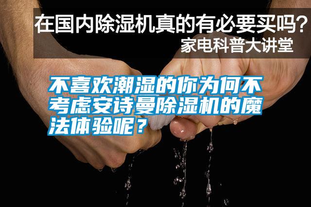 不喜歡潮濕的你為何不考慮安詩曼除濕機的魔法體驗呢？