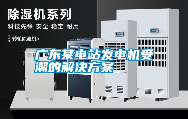 廣東某電站發(fā)電機(jī)受潮的解決方案