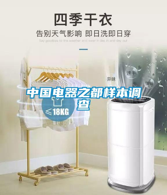 中國電器之都樣本調(diào)查