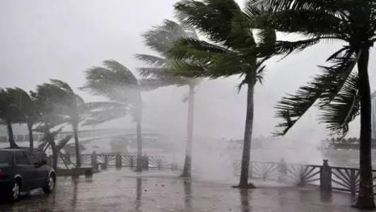 8月臺風雨即將來，除濕機還得用起來