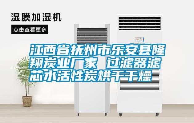 江西省撫州市樂(lè)安縣隆翔炭業(yè)廠家 過(guò)濾器濾芯水活性炭烘干干燥