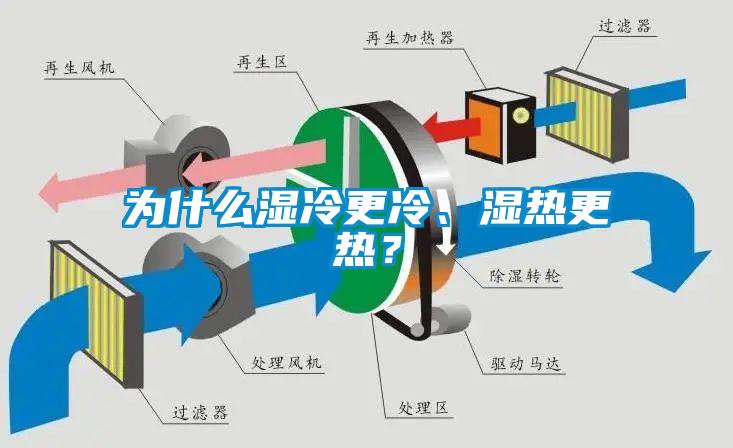 為什么濕冷更冷、濕熱更熱？