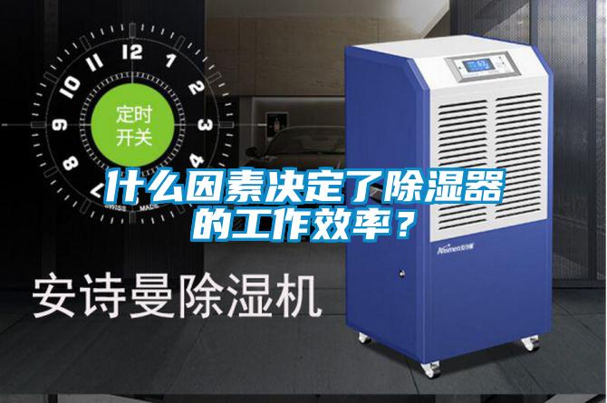 什么因素決定了除濕器的工作效率？