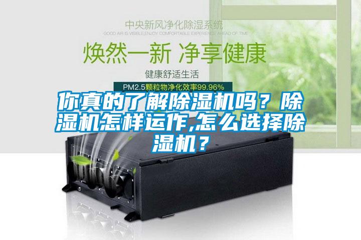 你真的了解除濕機嗎？除濕機怎樣運作,怎么選擇除濕機？