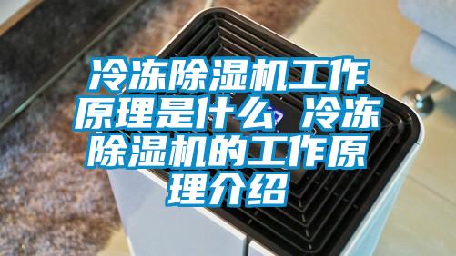 冷凍除濕機工作原理是什么 冷凍除濕機的工作原理介紹