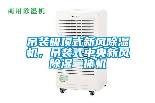 吊裝吸頂式新風除濕機，吊裝式中央新風除濕一體機