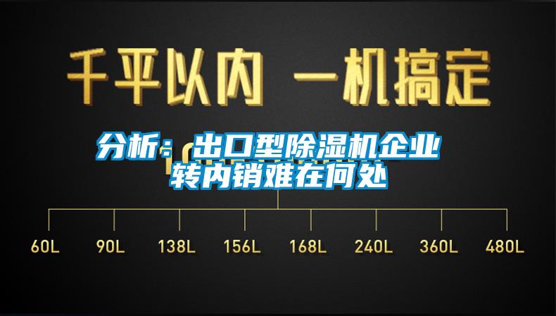 分析：出口型除濕機(jī)企業(yè) 轉(zhuǎn)內(nèi)銷(xiāo)難在何處