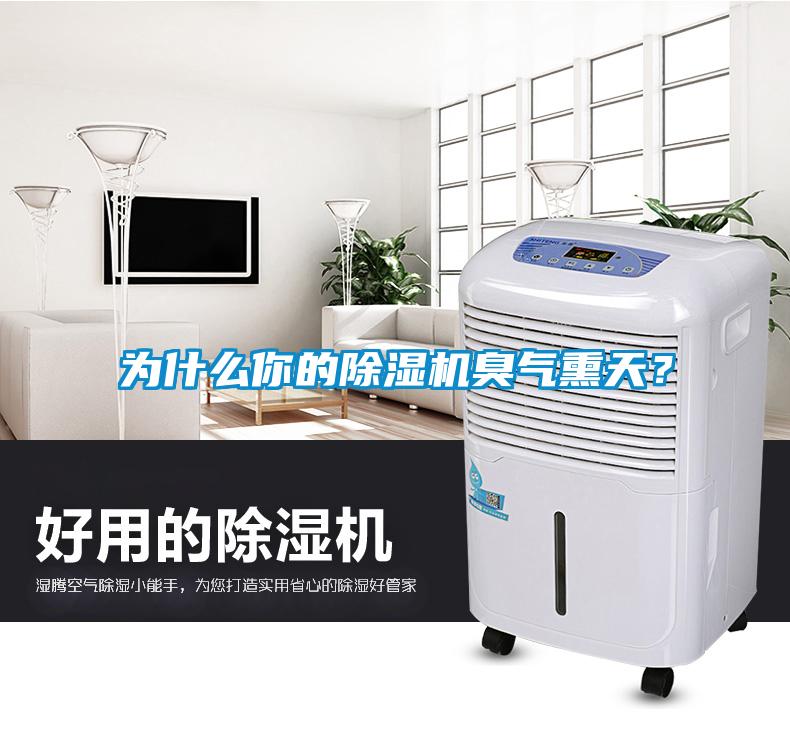 為什么你的除濕機(jī)臭氣熏天？