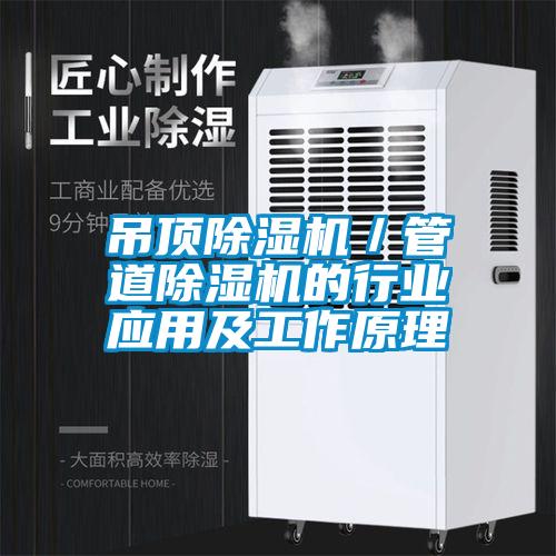 吊頂除濕機／管道除濕機的行業(yè)應用及工作原理