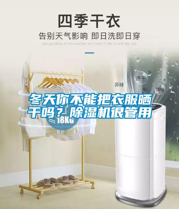 冬天你不能把衣服曬干嗎？除濕機(jī)很管用