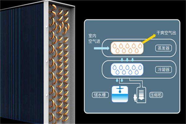 別墅為什么必須要考慮新風(fēng)除濕？