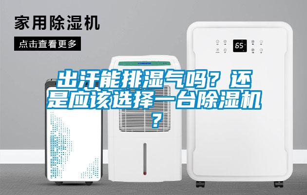 出汗能排濕氣嗎？還是應(yīng)該選擇一臺除濕機？