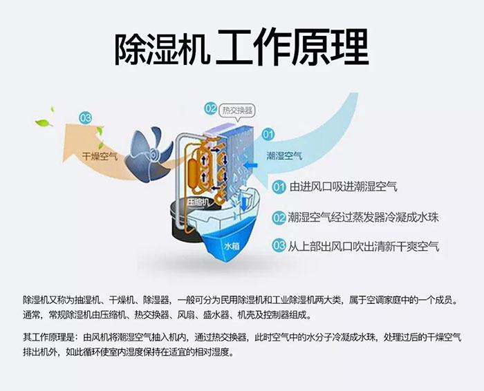 南北之爭：南方的濕冷比北方的干冷更變態(tài)？