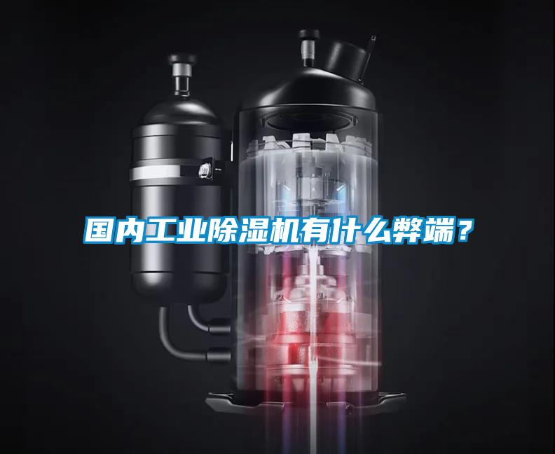 國內工業(yè)除濕機有什么弊端？