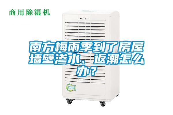 南方梅雨季到了房屋墻壁滲水、返潮怎么辦？