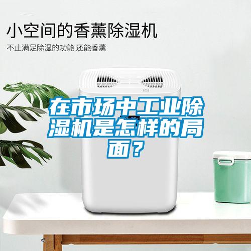 在市場(chǎng)中工業(yè)除濕機(jī)是怎樣的局面？