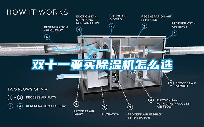 雙十一要買除濕機怎么選