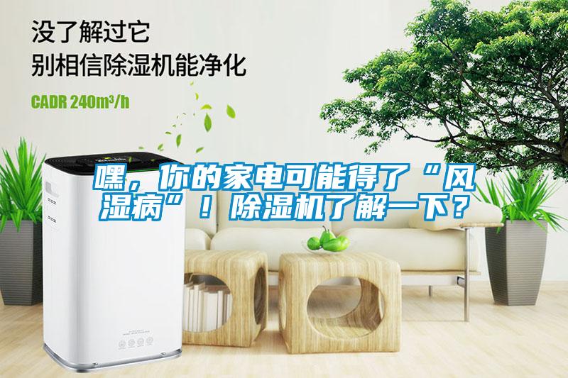 嘿，你的家電可能得了“風濕病”！除濕機了解一下？