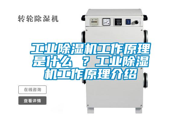 工業(yè)除濕機工作原理是什么 ？工業(yè)除濕機工作原理介紹