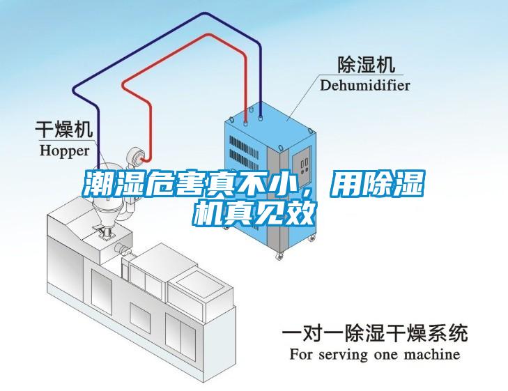 潮濕危害真不小，用除濕機真見效