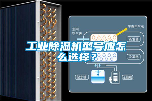 工業(yè)除濕機型號應(yīng)怎么選擇？