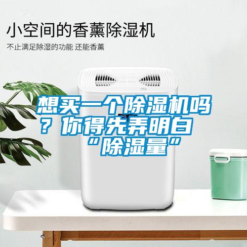 想買一個除濕機嗎？你得先弄明白“除濕量”