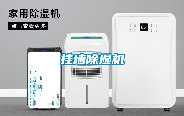 掛墻除濕機