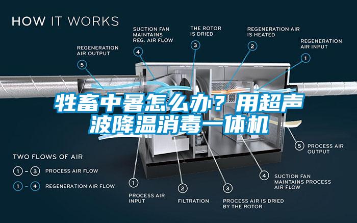 牲畜中暑怎么辦？用超聲波降溫消毒一體機(jī)