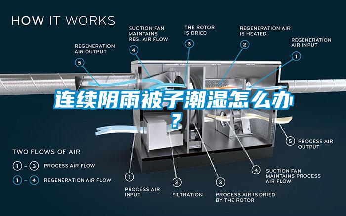 連續(xù)陰雨被子潮濕怎么辦？