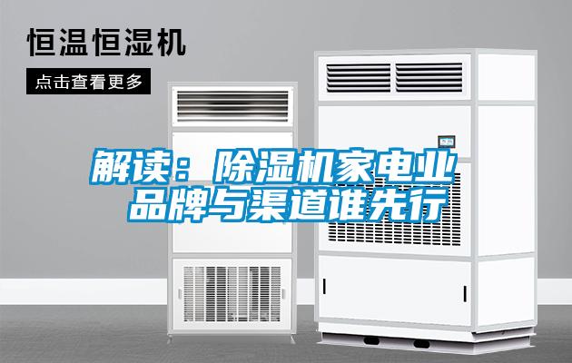 解讀：除濕機家電業(yè) 品牌與渠道誰先行