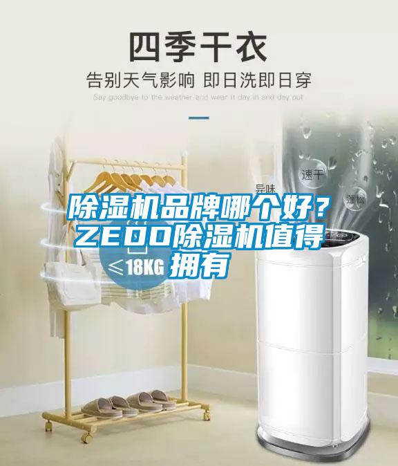 除濕機品牌哪個好？ZEDO除濕機值得擁有