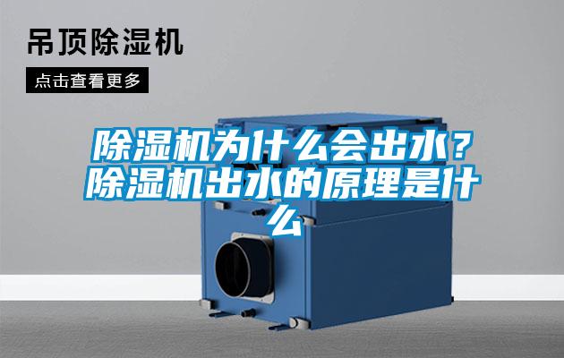 除濕機為什么會出水？除濕機出水的原理是什么