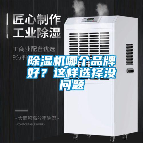 除濕機哪個品牌好？這樣選擇沒問題