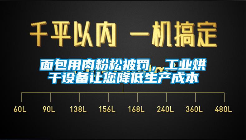 面包用肉粉松被罰，工業(yè)烘干設備讓您降低生產成本