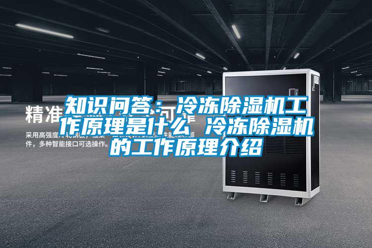 知識問答：冷凍除濕機工作原理是什么 冷凍除濕機的工作原理介紹