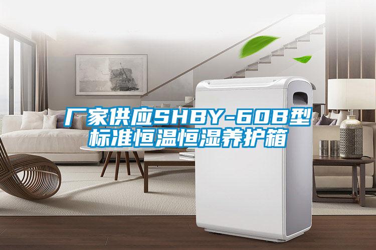 廠家供應SHBY-60B型標準恒溫恒濕養(yǎng)護箱