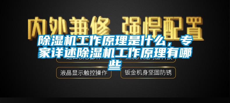 除濕機(jī)工作原理是什么，專家詳述除濕機(jī)工作原理有哪些