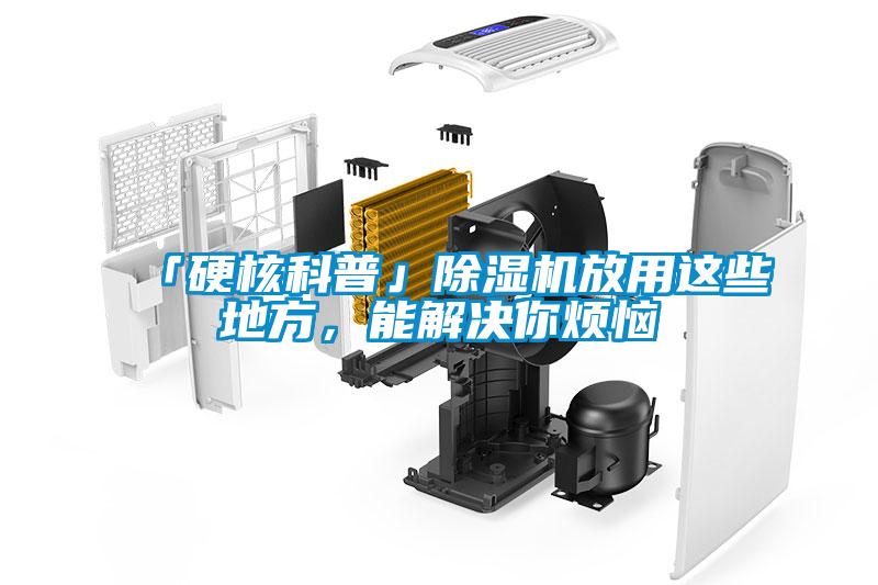 「硬核科普」除濕機(jī)放用這些地方，能解決你煩惱