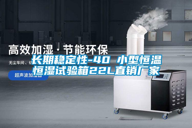 長期穩(wěn)定性-40℃小型恒溫恒濕試驗箱22L直銷廠家