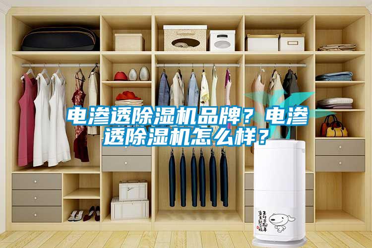 電滲透除濕機品牌？電滲透除濕機怎么樣？