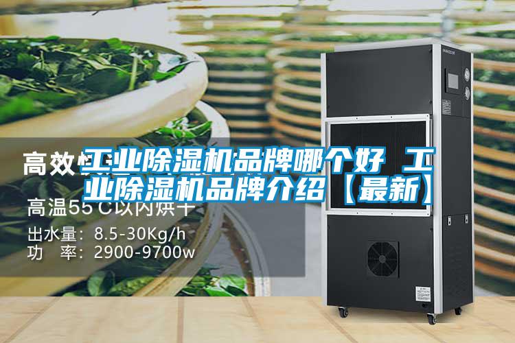 工業(yè)除濕機品牌哪個好 工業(yè)除濕機品牌介紹【最新】