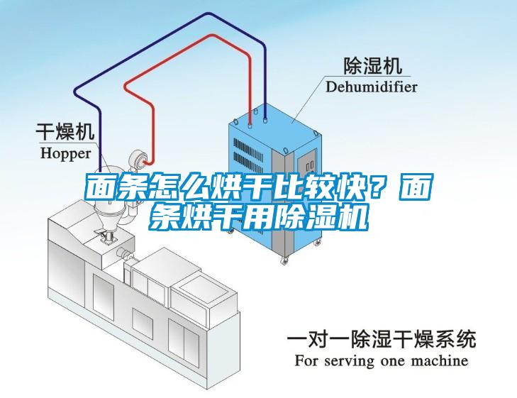 面條怎么烘干比較快？面條烘干用除濕機