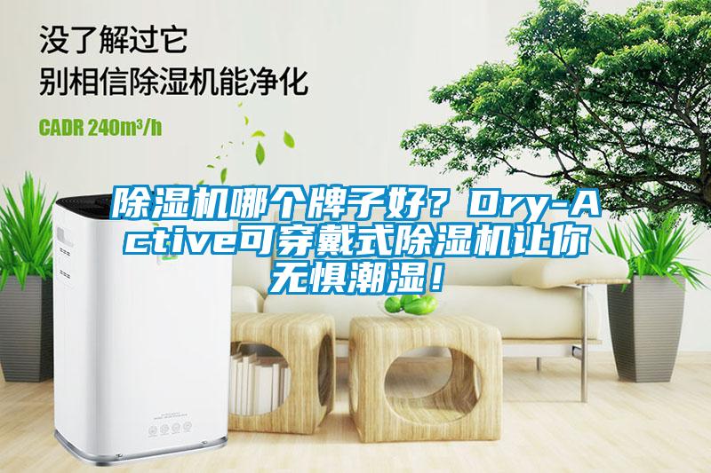 除濕機哪個牌子好？Dry-Active可穿戴式除濕機讓你無懼潮濕！