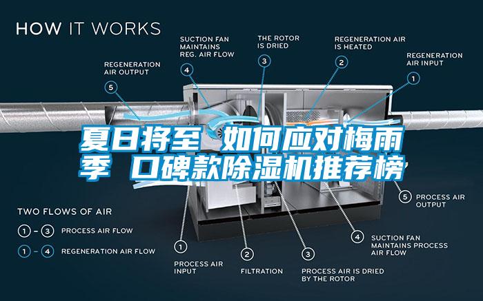 夏日將至 如何應對梅雨季 口碑款除濕機推薦榜