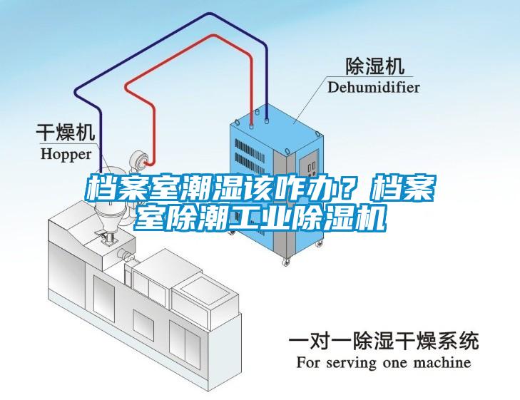 檔案室潮濕該咋辦？檔案室除潮工業(yè)除濕機(jī)