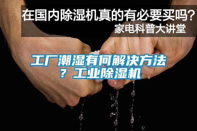 工廠潮濕有何解決方法？工業(yè)除濕機(jī)