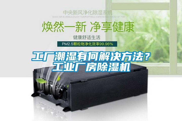 工廠潮濕有何解決方法？工業(yè)廠房除濕機(jī)