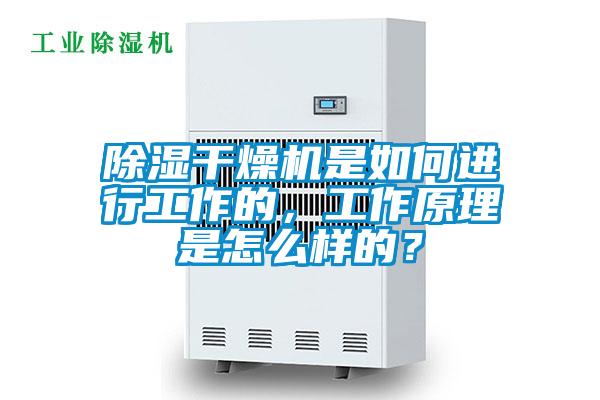 除濕干燥機是如何進行工作的，工作原理是怎么樣的？