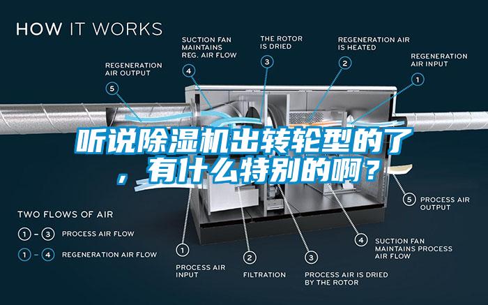 聽說除濕機(jī)出轉(zhuǎn)輪型的了，有什么特別的??？