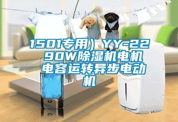 1501專用）YY-22  90W除濕機(jī)電機(jī)  電容運轉(zhuǎn)異步電動機(jī)